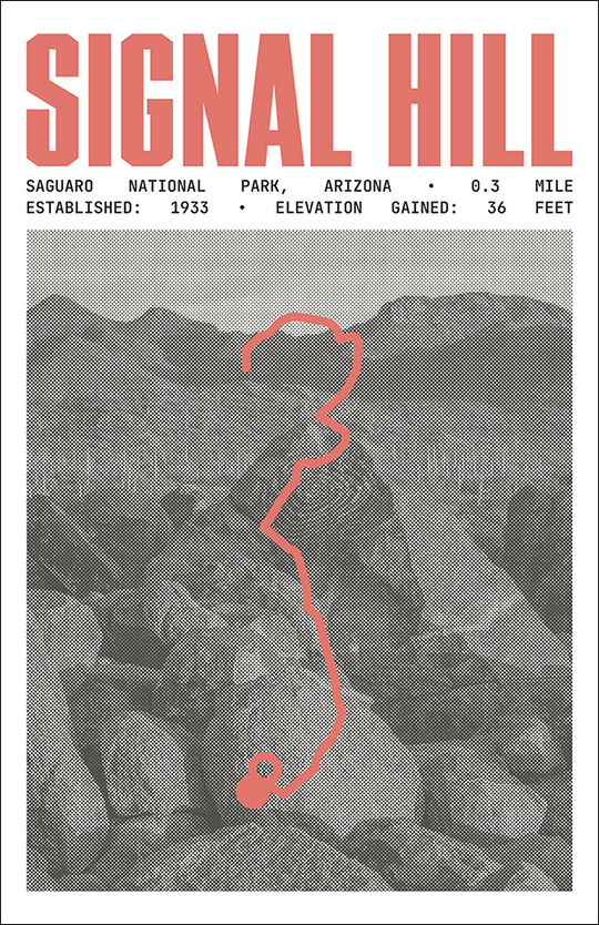 Signal Hill Trail Poster | Saguaro National Park Prints