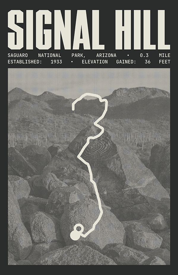 Signal Hill Trail Poster | Saguaro National Park Prints