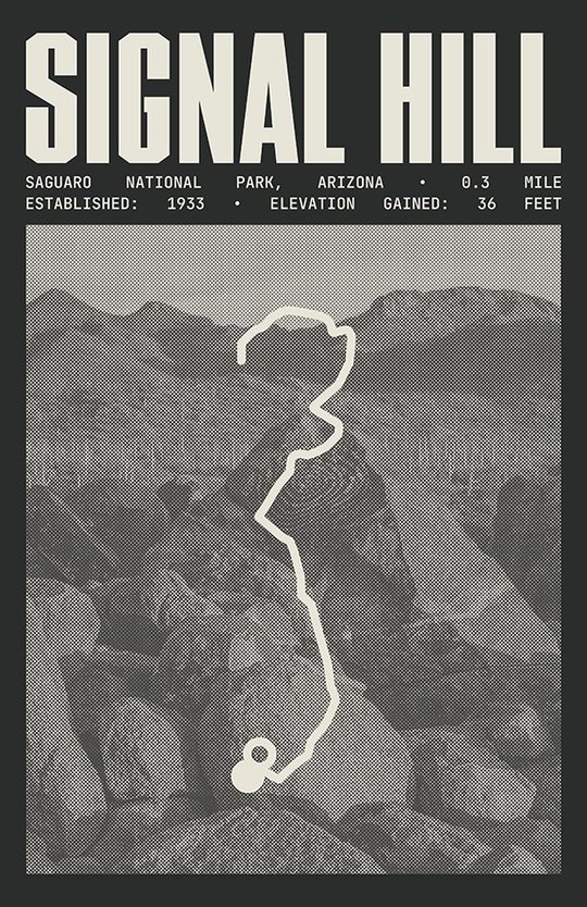 Signal Hill Trail Poster | Saguaro National Park Prints