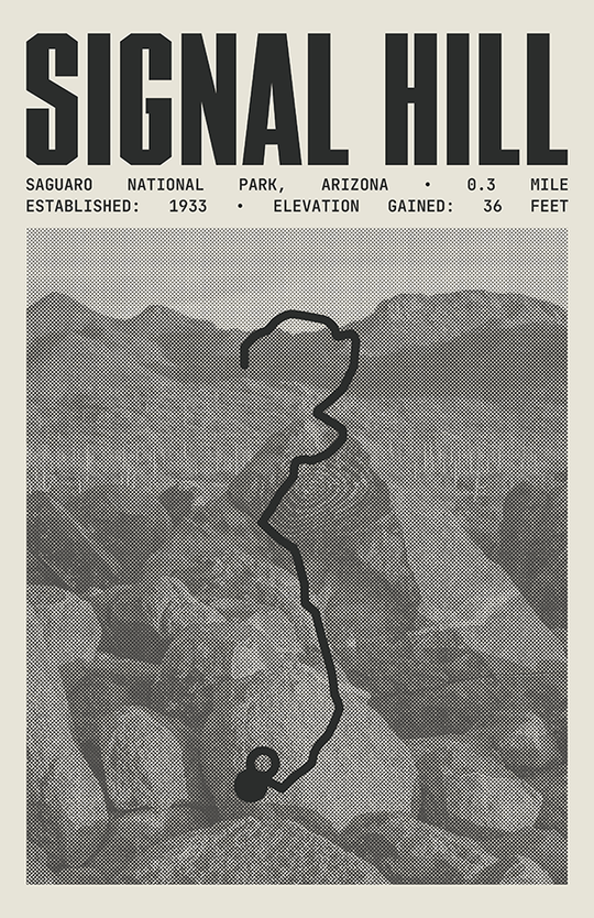 Signal Hill Trail Poster | Saguaro National Park Prints