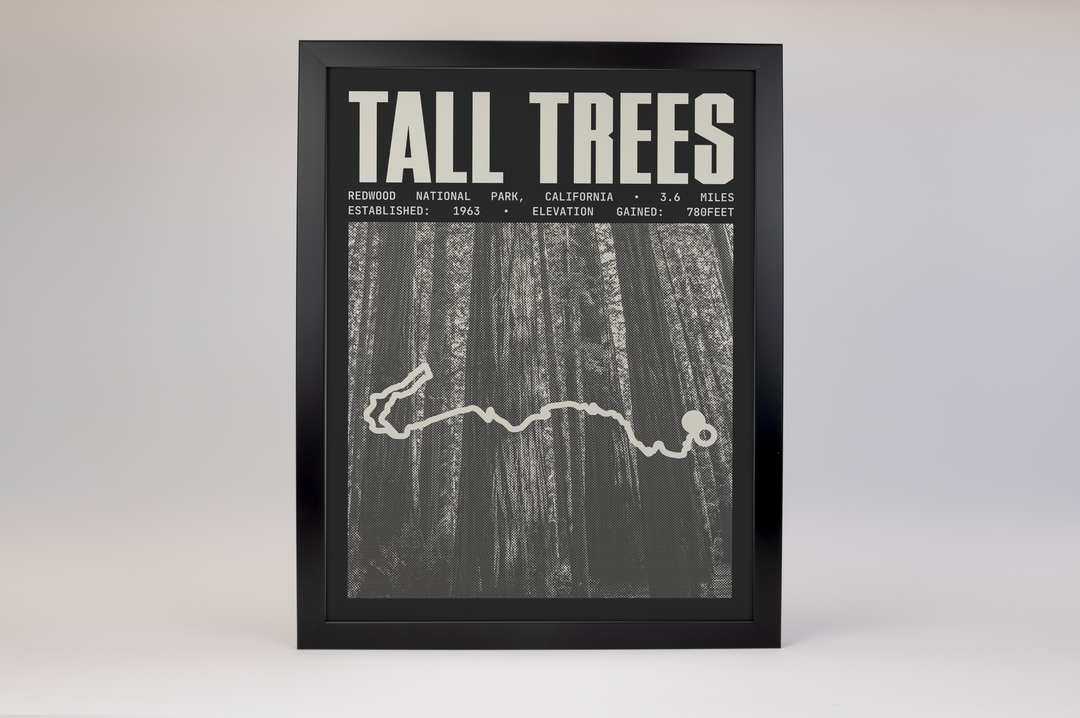 Tall Trees Grove Loop Trail Poster | Redwood National Park Prints