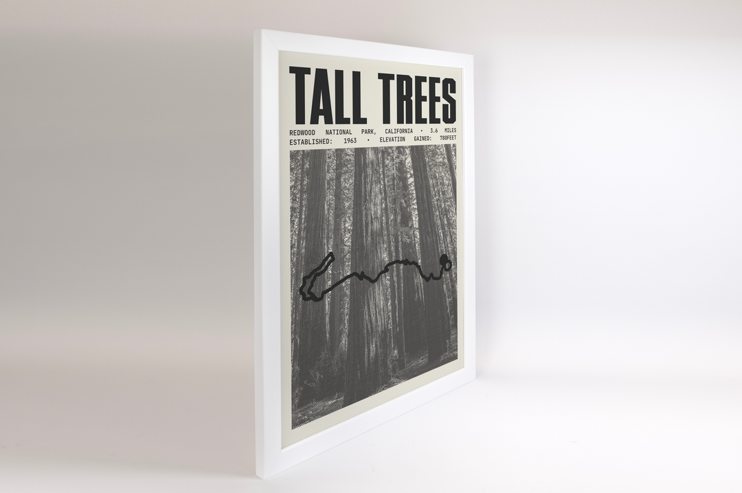 Tall Trees Grove Loop Trail Poster | Redwood National Park Prints