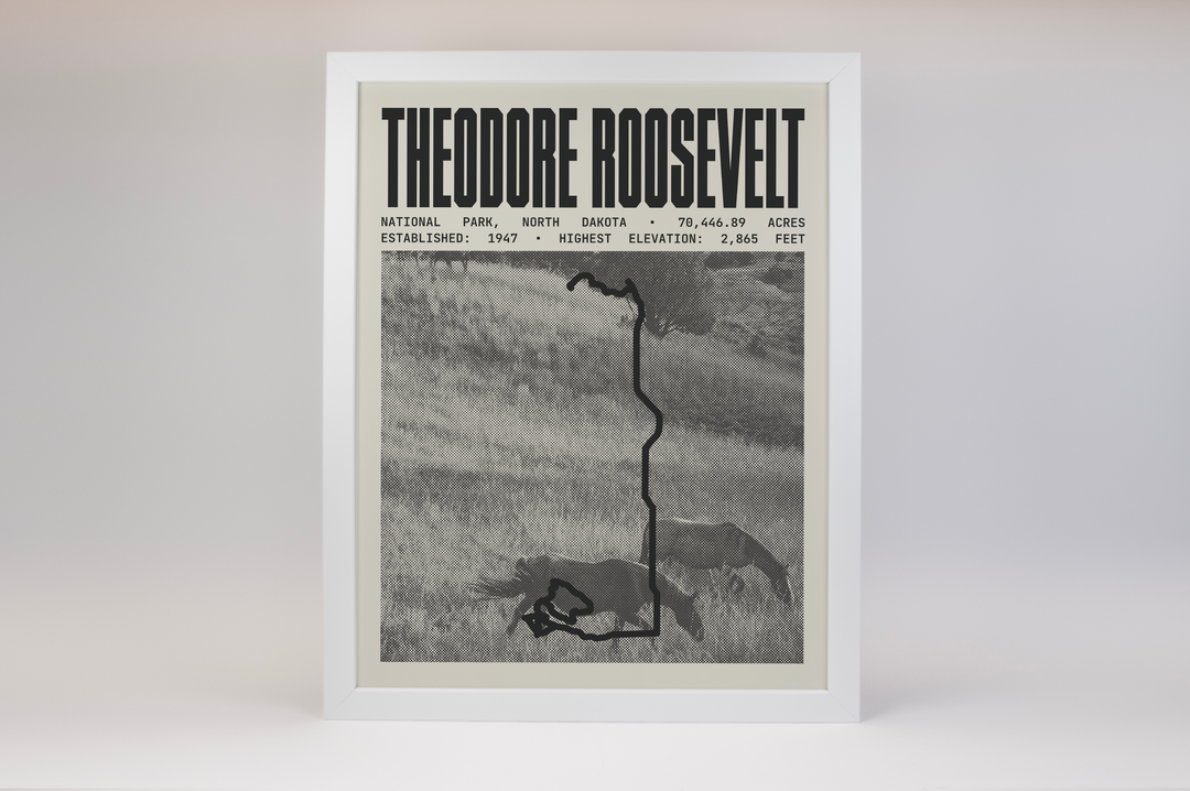 Theodore Roosevelt National Park Poster