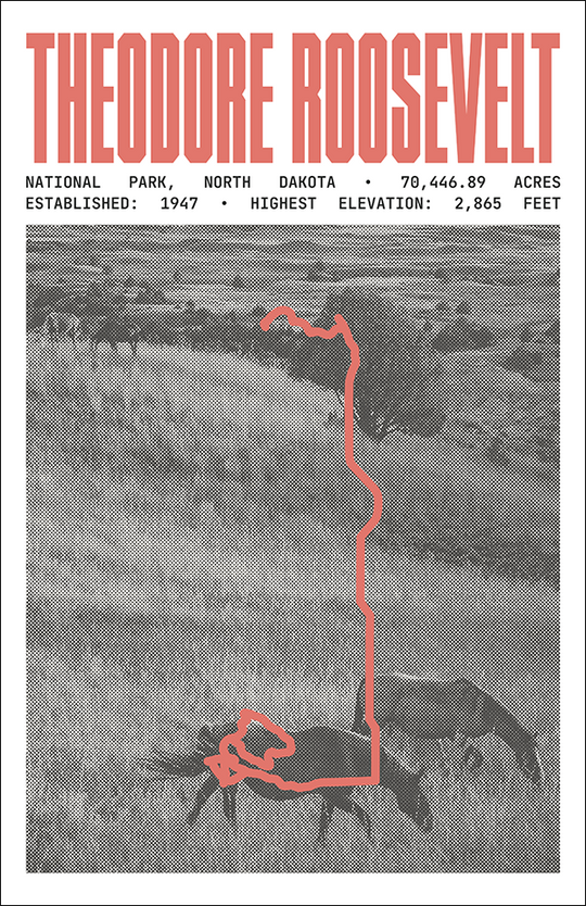 Theodore Roosevelt National Park Poster