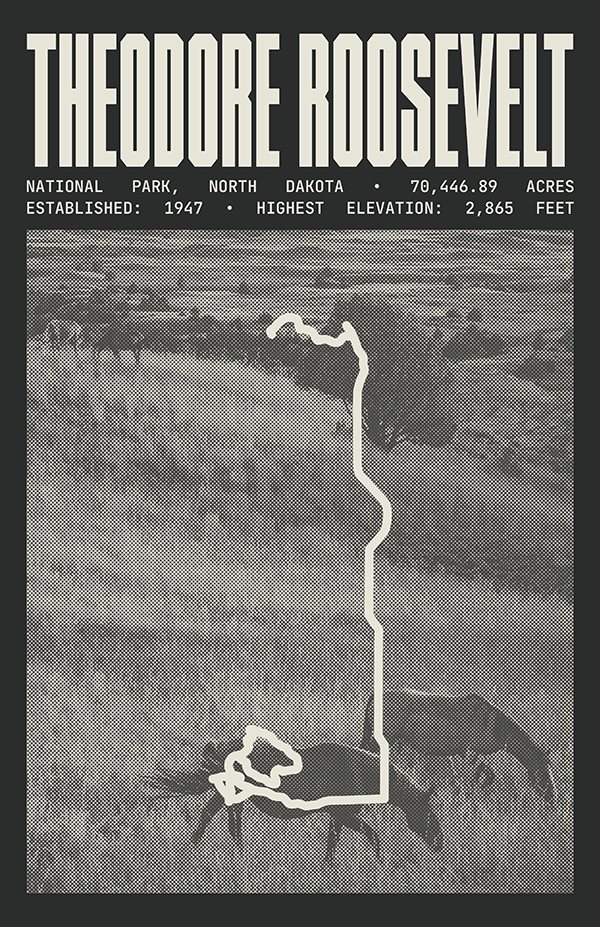 Theodore Roosevelt National Park Poster