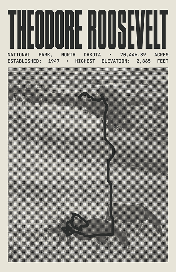 Theodore Roosevelt National Park Poster