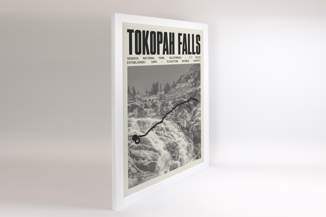 Tokopah Falls Poster | Sequoia National Park Prints