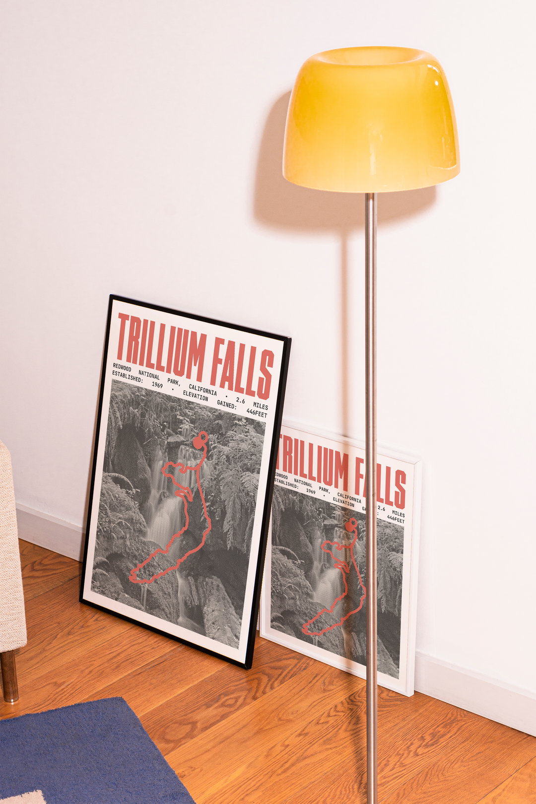 Trillium Falls Trail Poster | Redwood National Park Prints