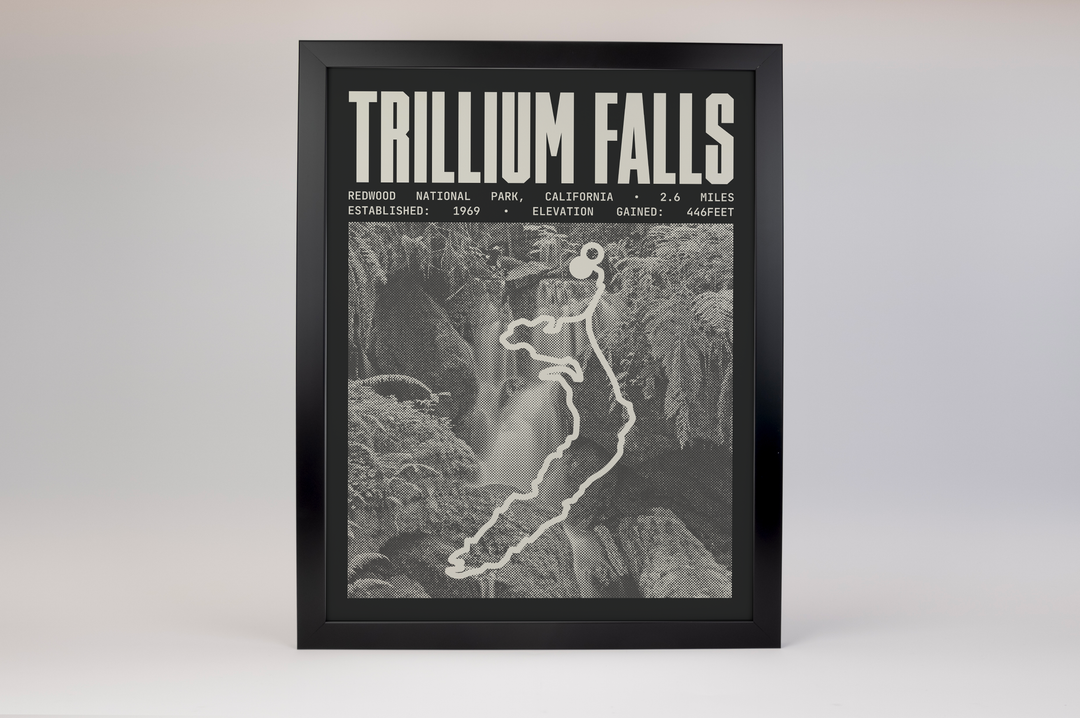 Trillium Falls Trail Poster | Redwood National Park Prints