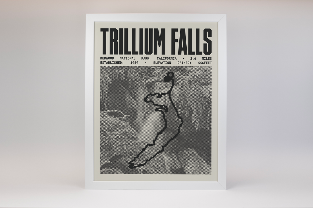 Trillium Falls Trail Poster | Redwood National Park Prints