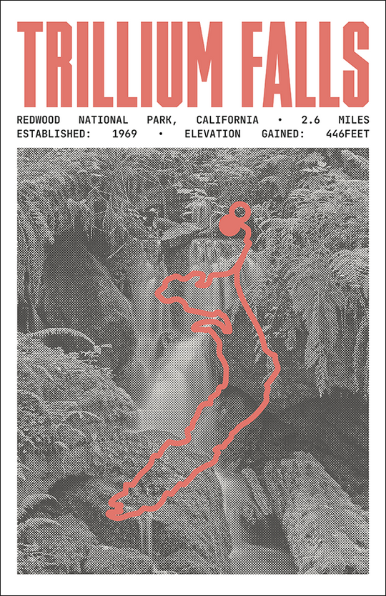 Trillium Falls Trail Poster | Redwood National Park Prints