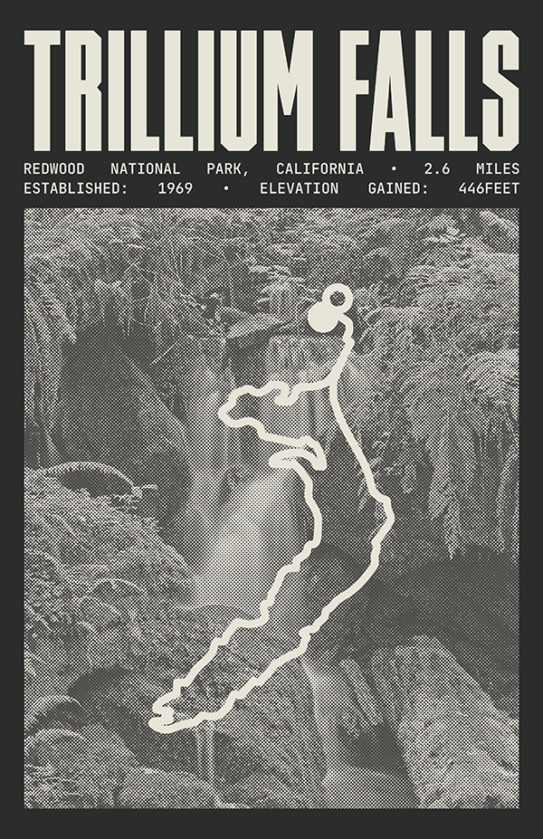 Trillium Falls Trail Poster | Redwood National Park Prints