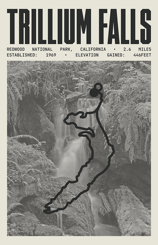 Trillium Falls Trail Poster | Redwood National Park Prints