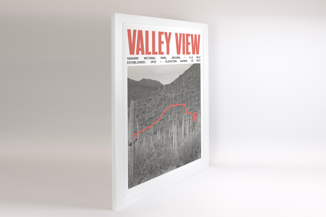 Valley View Overlook Trail Poster | Saguaro National Park Prints