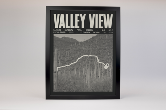 Valley View Overlook Trail Poster | Saguaro National Park Prints