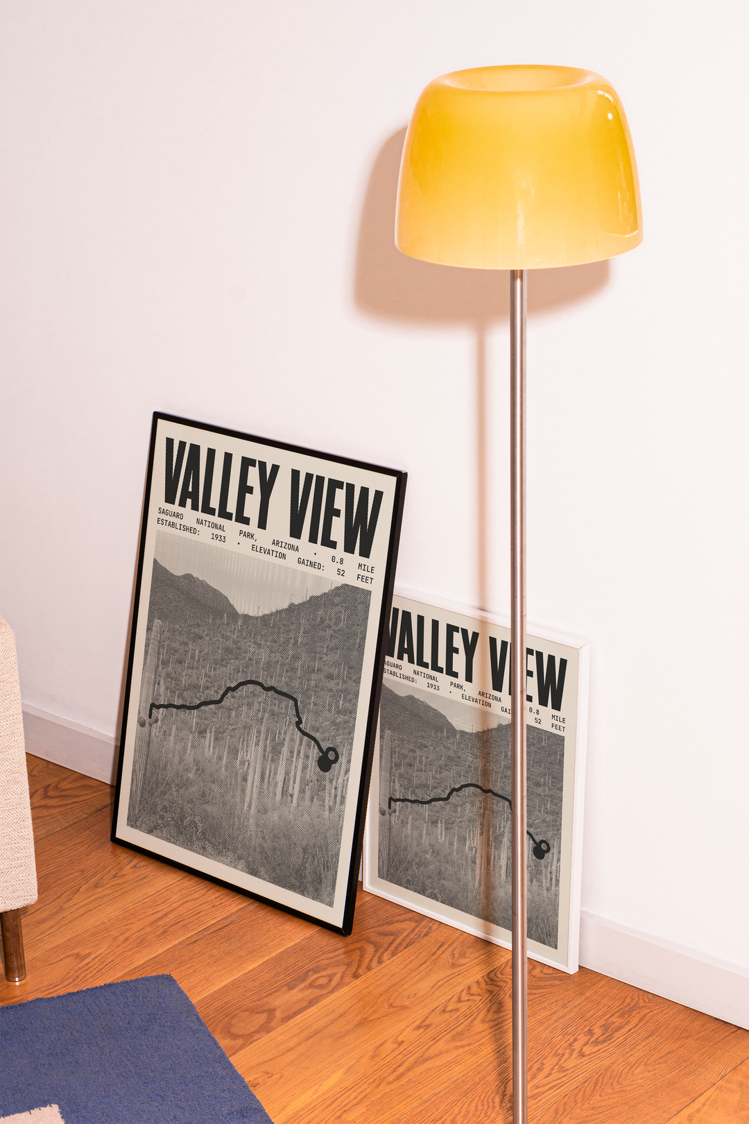 Valley View Overlook Trail Poster | Saguaro National Park Prints