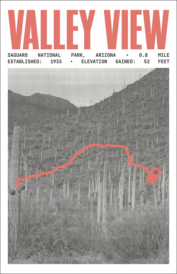 Valley View Overlook Trail Poster | Saguaro National Park Prints