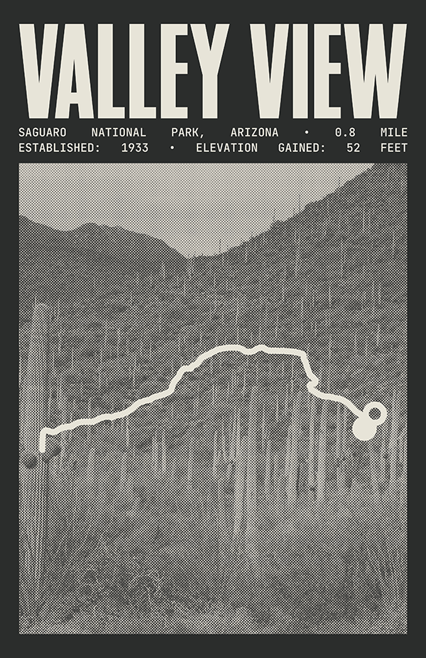 Valley View Overlook Trail Poster | Saguaro National Park Prints