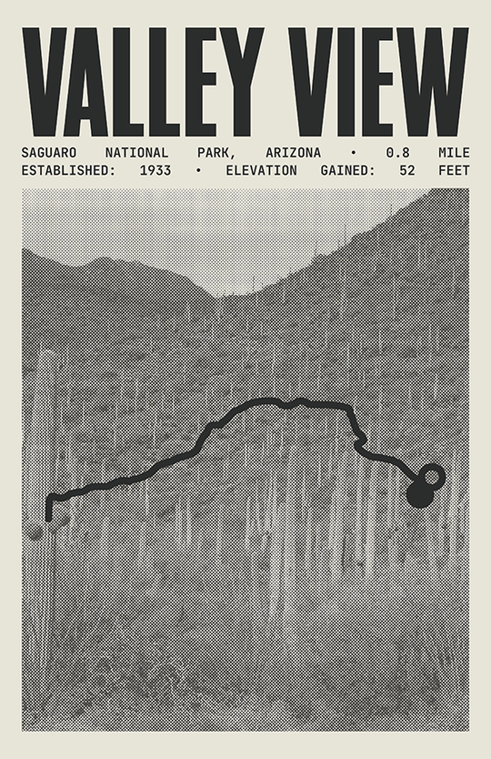 Valley View Overlook Trail Poster | Saguaro National Park Prints