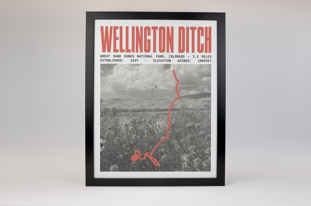 Wellington Ditch Trail Poster | Great Sand Dunes National Park Prints