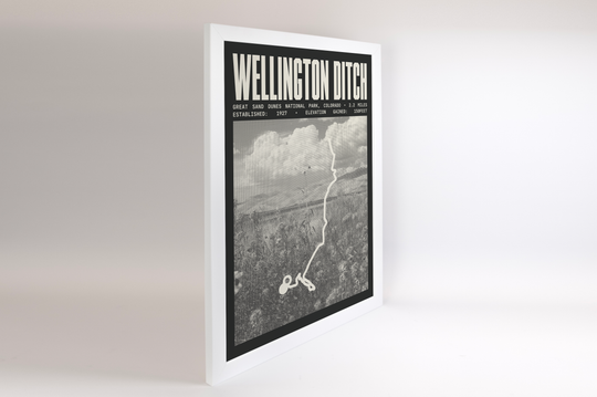 Wellington Ditch Trail Poster | Great Sand Dunes National Park Prints