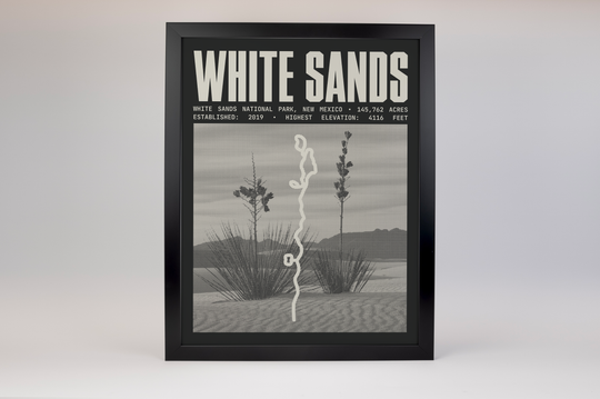 White Sands National Park Poster
