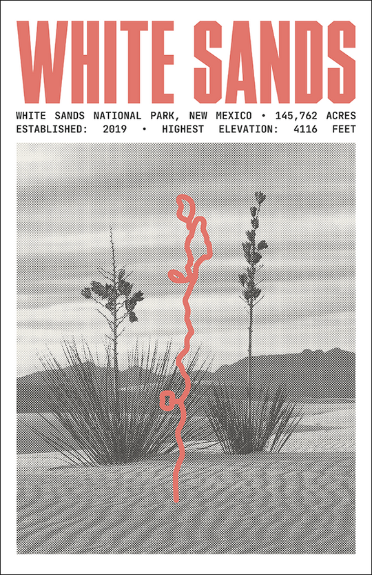 White Sands National Park Poster