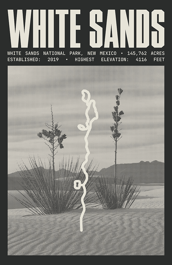 White Sands National Park Poster